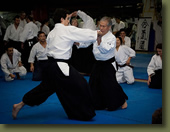 Aikido Seminario Miyamoto Shihan. Junio 2012 Buenos Aires :: Fotos Musubi aikikai Escuela de Aikido Argentina